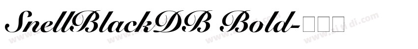 SnellBlackDB Bold字体转换